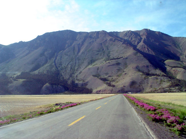 Kluane National Park
